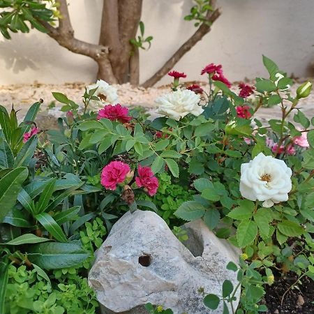 Barbat na Rabu Apartmani Milena מראה חיצוני תמונה