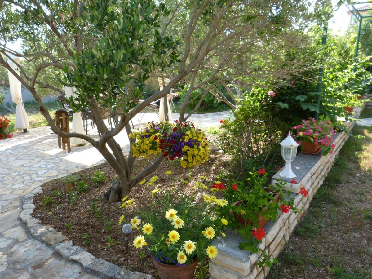 Barbat na Rabu Apartmani Milena מראה חיצוני תמונה