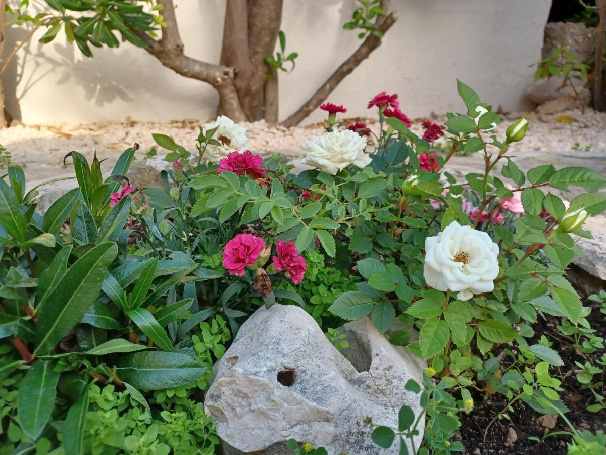 Barbat na Rabu Apartmani Milena מראה חיצוני תמונה