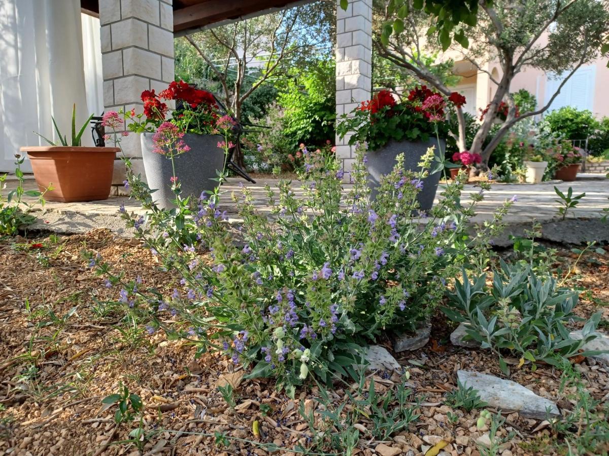Barbat na Rabu Apartmani Milena מראה חיצוני תמונה