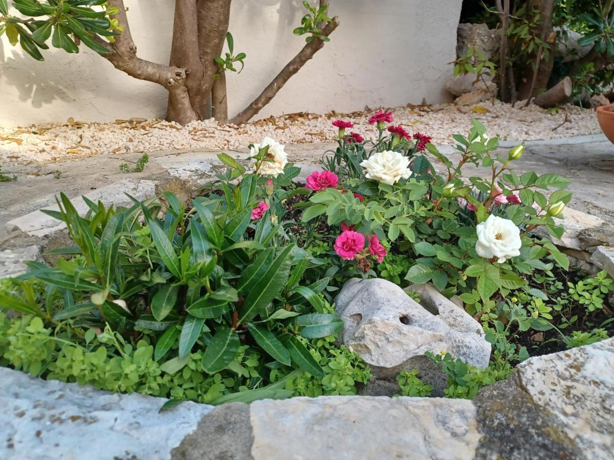 Barbat na Rabu Apartmani Milena מראה חיצוני תמונה